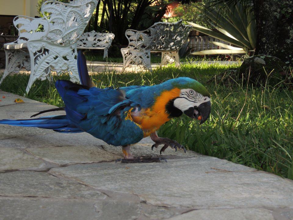 Hotel E Pousada Recanto Do Rio Pardo เซาโจเซ ดู ริโอปาร์โด ภายนอก รูปภาพ